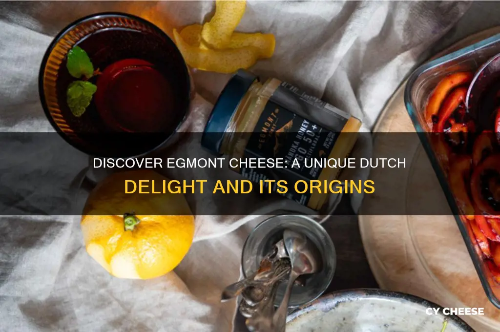 what is egmont cheese