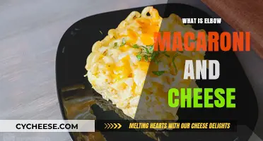 Macaroni Masterpiece: Elbow Pasta, Cheesy Comfort