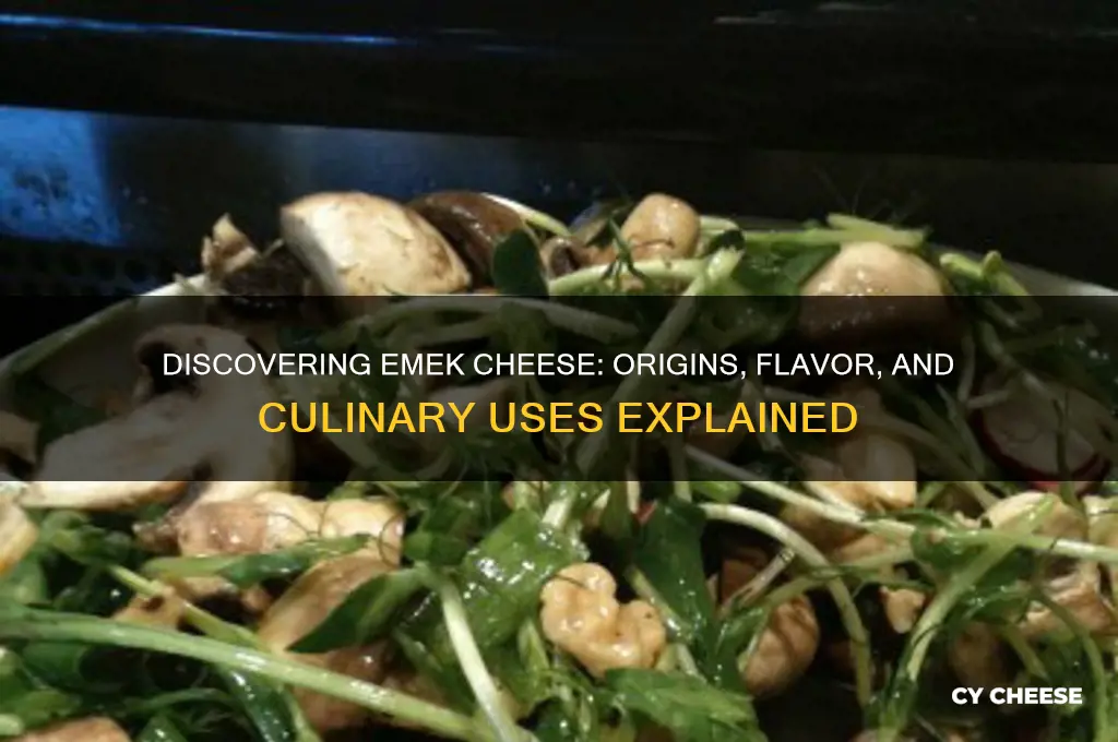 what is emek cheese