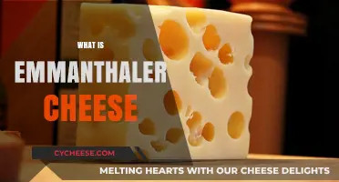 Discover the Rich Flavor and History of Emmenthaler Cheese
