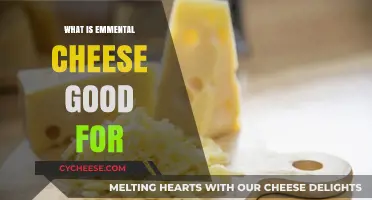 Emmental Cheese Benefits: Uses, Recipes, and Health Advantages Explained