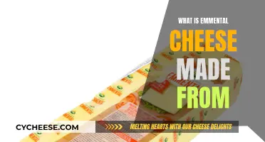 Emmental Cheese: A Traditional Swiss Dairy Product