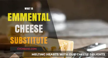 Discover the Best Emmental Cheese Substitute for Your Recipes