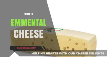 Exploring Emmental Cheese: Origins, Flavor, and Culinary Uses