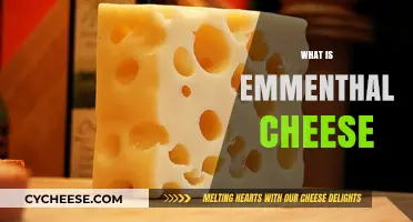 Exploring Emmenthal Cheese: Origins, Flavor, and Culinary Uses