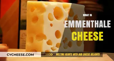 Exploring Emmenthaler Cheese: Origins, Flavor, and Culinary Uses