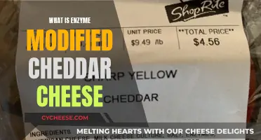 Enzyme Magic: Unlocking Cheddar's Creamy Potential