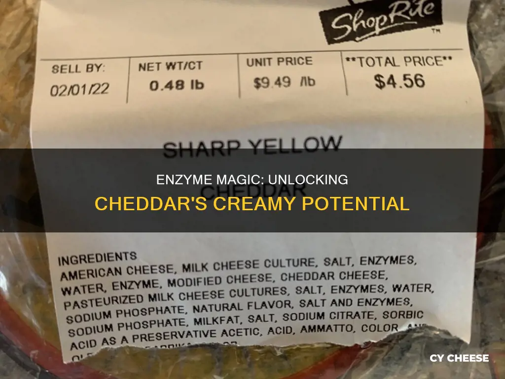 what is enzyme modified cheddar cheese