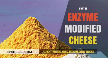 Understanding Enzyme-Modified Cheese: Flavor, Texture, and Production Process