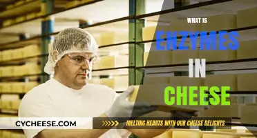 Understanding Enzymes' Role in Cheese Making and Flavor Development