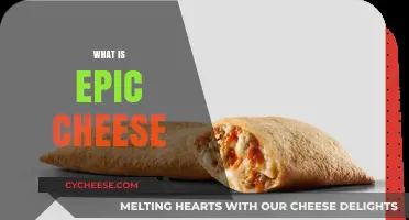 Discover the Legendary Flavor of Epic Cheese: A Tasty Journey