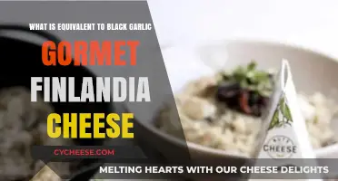 Black Garlic Gourmet Finlandia Cheese Alternatives: Unique Flavor Matches