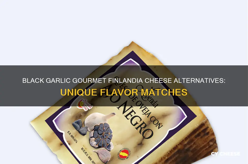 what is equivalent to black garlic gormet finlandia cheese