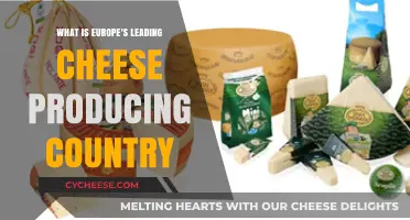 Discover Europe's Top Cheese Producer: A Country Leading the Way