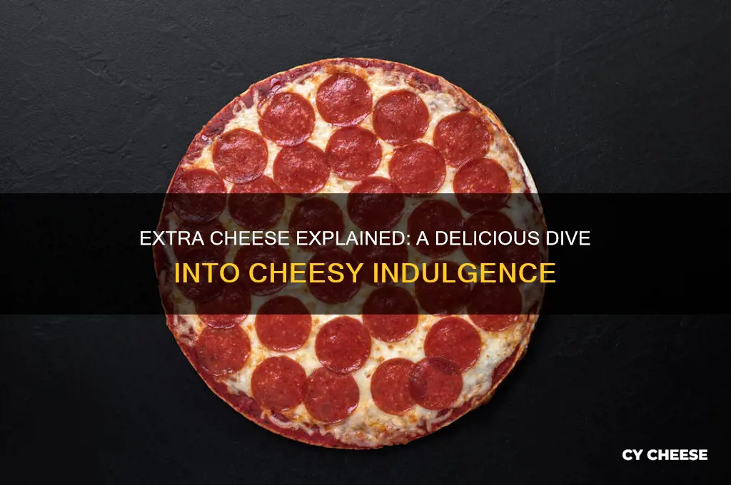 what is extra cheese