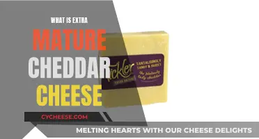 Unveiling the Secrets of Extra Mature Cheddar: A Cheesy Adventure