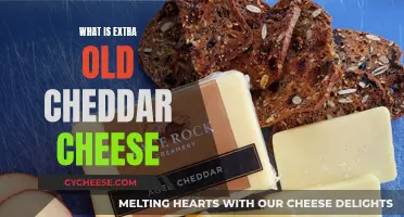 Unveiling the Secrets of Ancient Cheddar: Extra Old Cheddar Cheese Explained