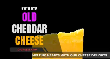 Extra Old Cheddar: A Cheesy Adventure Through Time