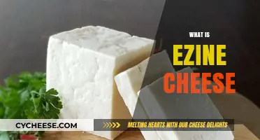Discover the Creamy Delight: What is Ezine Cheese?