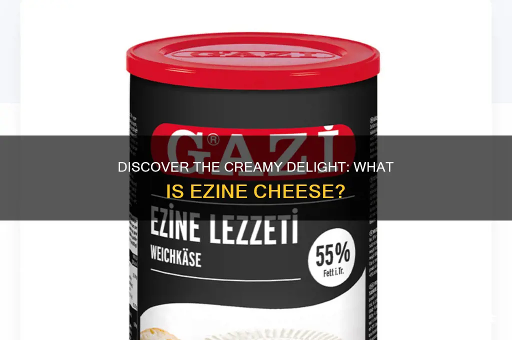 what is ezine cheese