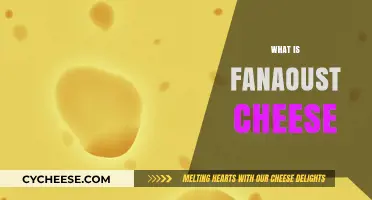 Discover the Unique Flavor and History of Fanaoust Cheese