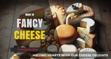 Exploring the World of Fancy Cheese: Types, Flavors, and Pairings