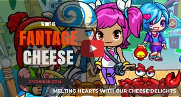 Unveiling Fantage Cheese: A Nostalgic Virtual Currency Explained