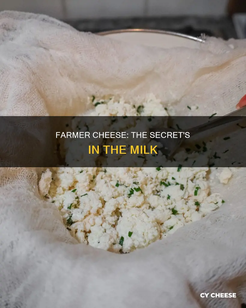what is farmer cheese made out of