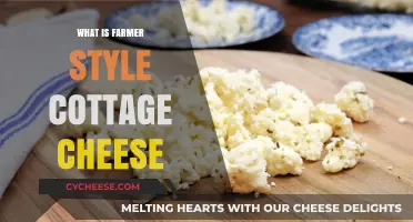 Discovering Farmer Style Cottage Cheese: A Creamy, Rustic Delight