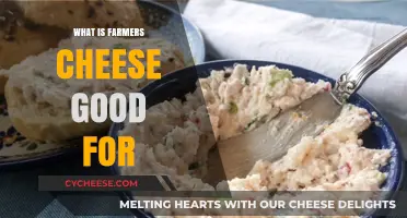 Discover the Versatile Uses of Farmers Cheese in Cooking and Beyond