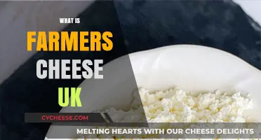 Discovering Farmers Cheese: A UK Guide to This Versatile Dairy Delight