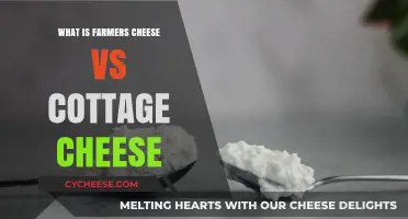 Farmers Cheese vs Cottage Cheese: Key Differences and Best Uses