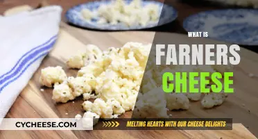 Discover the Creamy Delight: What is Farmer's Cheese?