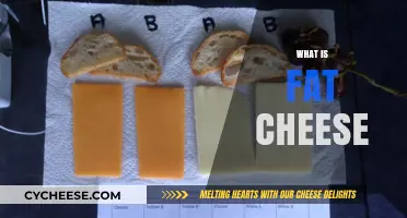Understanding Fat Cheese: Types, Uses, and Health Considerations Explained