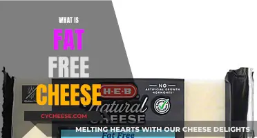 Fat-Free Cheese: Healthy or Hype?
