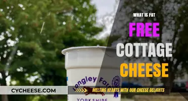 Understanding Fat Free Cottage Cheese: Nutrition, Benefits, and Uses