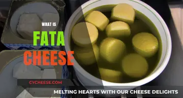 Discovering Fata Cheese: Origins, Flavor, and Culinary Uses Explained