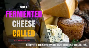 Exploring Fermented Cheese Varieties: Names, Types, and Unique Flavors