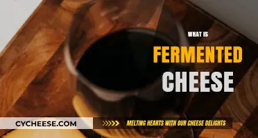 Exploring Fermented Cheese: Benefits, Types, and Flavorful Uses