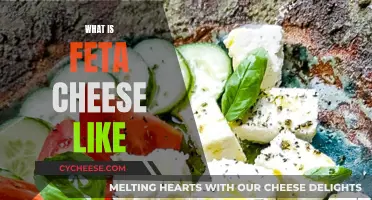 The Unique Taste of Feta Cheese