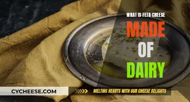 Feta Cheese: A Dairy Delicacy Explained