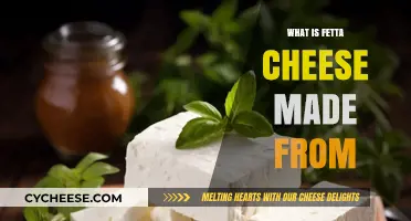 Fetta Cheese: Unveiling the Secrets of its Creamy Origin