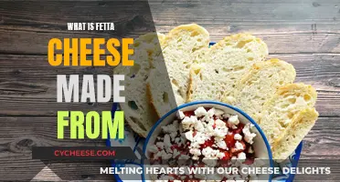 The Crafting of Fetta Cheese: A Dairy Delicacy