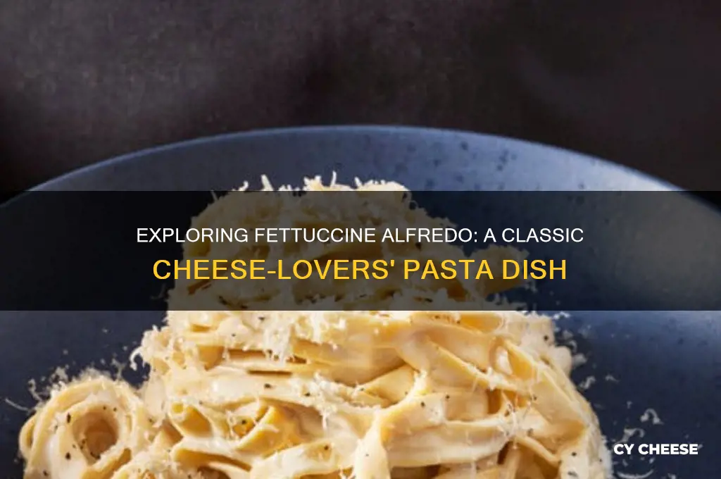 what is fettuccine cheese