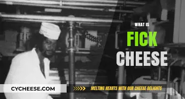 Discover the Rich History and Flavor of Fick Cheese