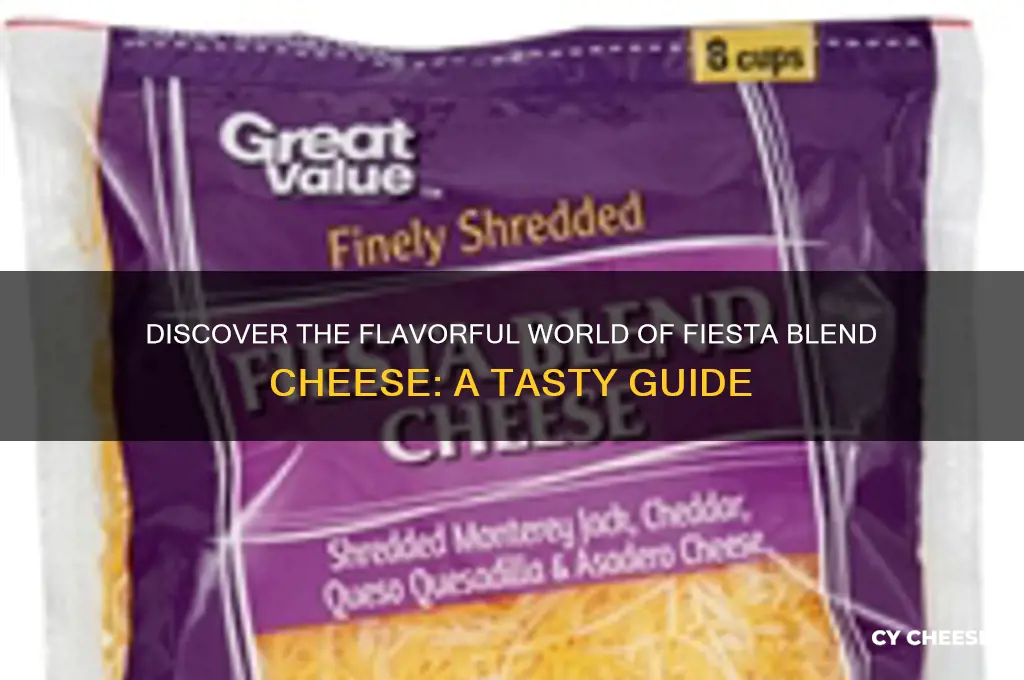 what is fiesta blend cheese