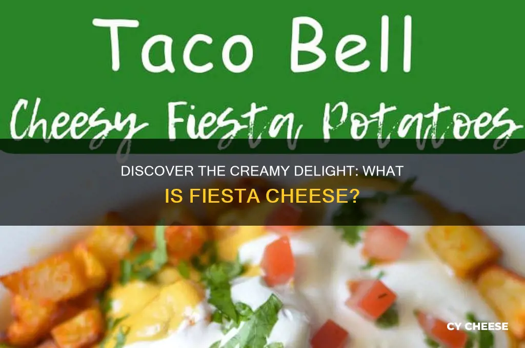 what is fiesta cheese
