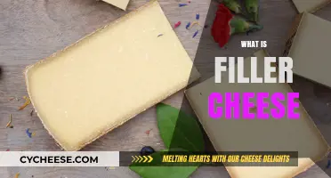 Understanding Filler Cheese: Uses, Types, and Impact on Food Quality