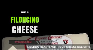 Discover the Delicate Flavor and Uses of Filoncino Cheese