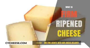 Understanding Firm Ripened Cheese: Texture, Flavor, and Aging Process Explained